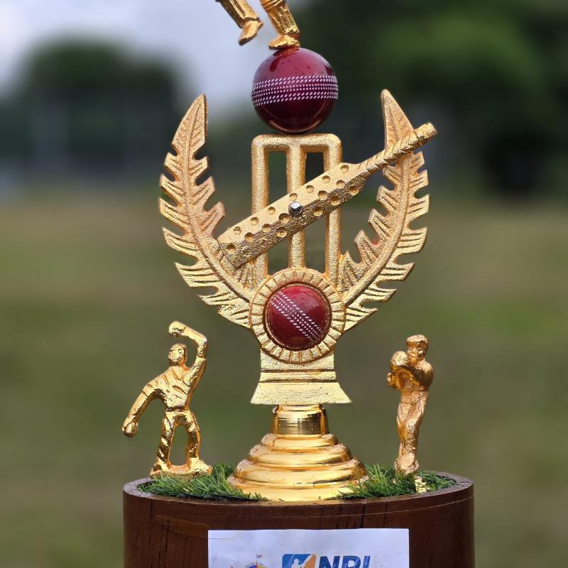 Npl 2025 1